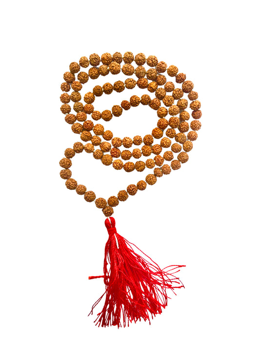 Premium VedicWe Energized Rudraksha Mala